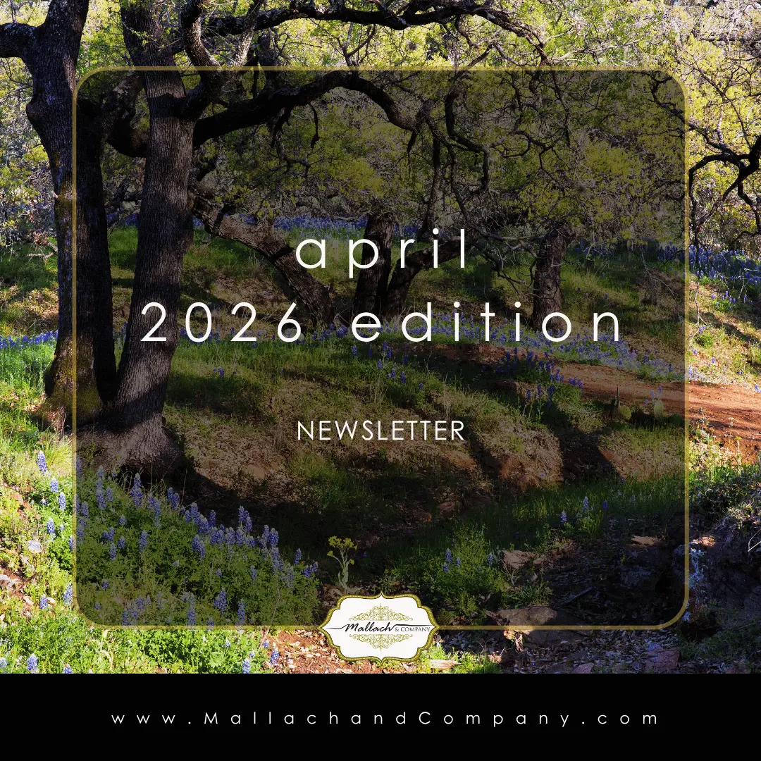 Mallach and Company Real Estate April 2026 Newsletter Leander Real Estate Tina Mallach
